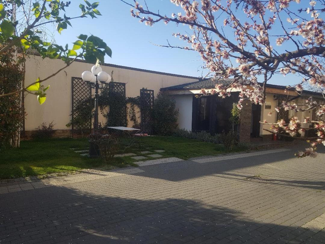 Pensiune Arada Bagian luar foto